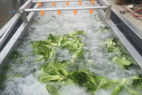果蔬气泡清洗机的设备特点